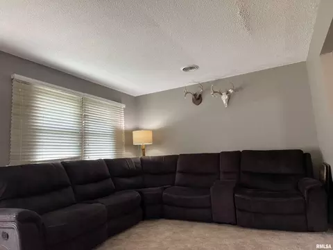 34 Aaron Dr, Christopher, IL 62822 photo 7