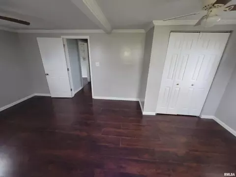 517 Dewolf St, Odin, IL 62870 photo 13