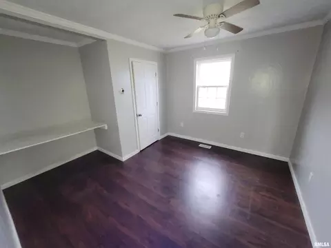 517 Dewolf St, Odin, IL 62870 photo 14