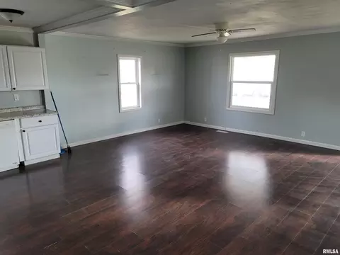 517 Dewolf St, Odin, IL 62870 photo 20