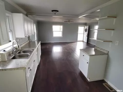 517 Dewolf St, Odin, IL 62870 photo 6