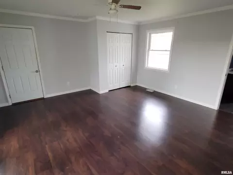 517 Dewolf St, Odin, IL 62870 photo 7
