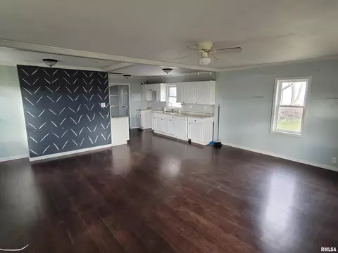 517 Dewolf St, Odin, IL 62870 photo 3