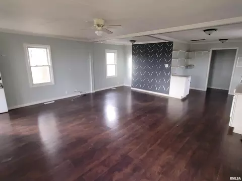 517 Dewolf St, Odin, IL 62870 photo 4