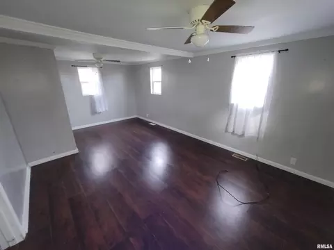 517 Dewolf St, Odin, IL 62870 photo 12