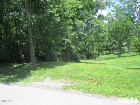 000 E Lake Dr, Murphysboro, IL 62966 photo 5