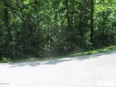000 E Lake Dr, Murphysboro, IL 62966 photo 2