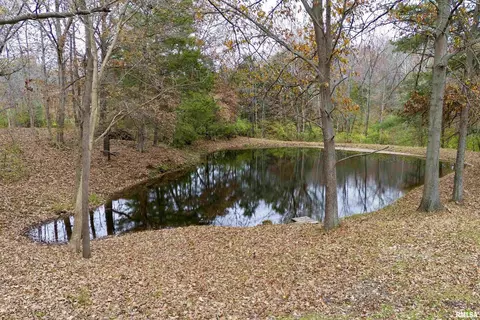 8750 E Casey Pike Rd, Mount Vernon, IL 62864 photo 4