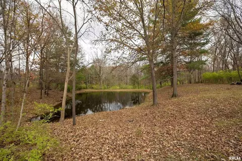 8750 E Casey Pike Rd, Mount Vernon, IL 62864 photo 24