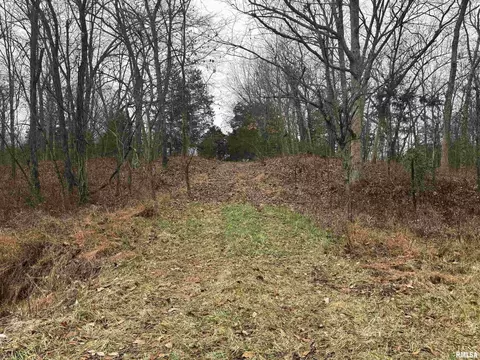 0000 N Goshen Ln, Mount Vernon, IL 62864