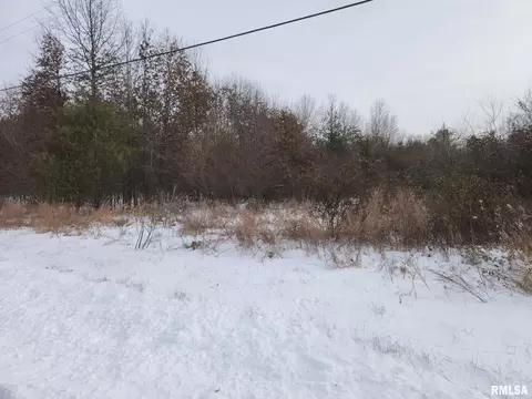 lot5 E Hutchison Rd, Mount Vernon, IL 62864