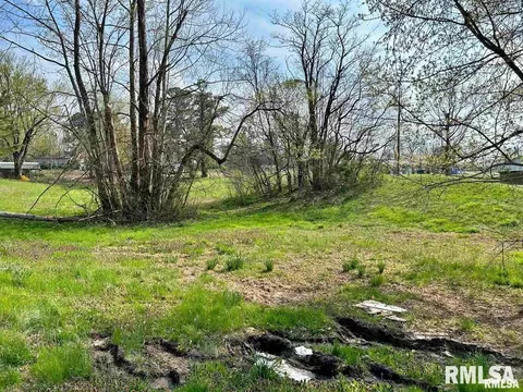 00 Lewis St, Golconda, IL 62938