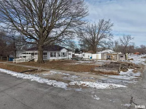 Exterior - 106 E North St, Sesser, IL 62884 photo 4 of 5