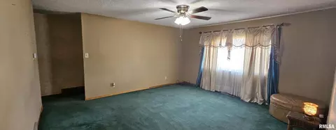 103 David Dr, Mcclure, IL 62957 photo 9
