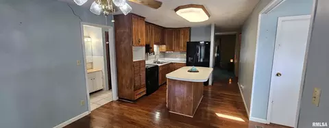 103 David Dr, Mcclure, IL 62957 photo 7