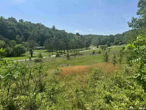 000 Pleasant Valley Ln, Tamms, IL 62988