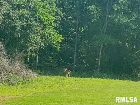 000 N America Rd, Galatia, IL 62935