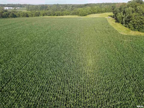 000 E County Road 900 Rd, Montrose, IL 62445 photo 12