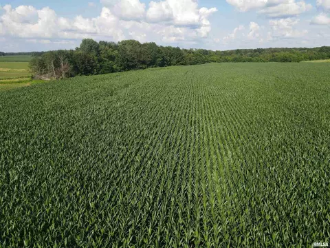 000 E County Road 900 Rd, Montrose, IL 62445 photo 7