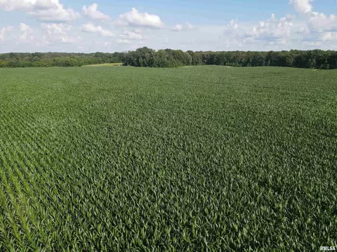 000 E County Road 900 Rd, Montrose, IL 62445 photo 9