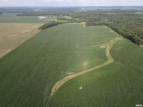 000 E County Road 900 Rd, Montrose, IL 62445 photo 5