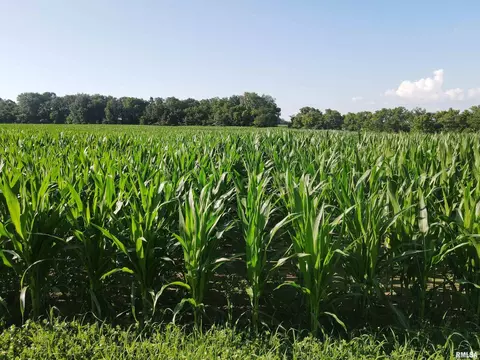 000 E County Road 900 Rd, Montrose, IL 62445 photo 14
