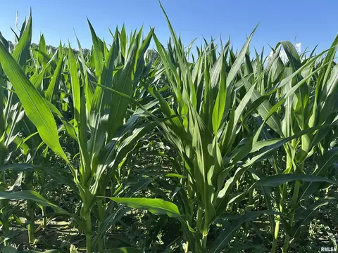 000 E County Road 900 Rd, Montrose, IL 62445 photo 16
