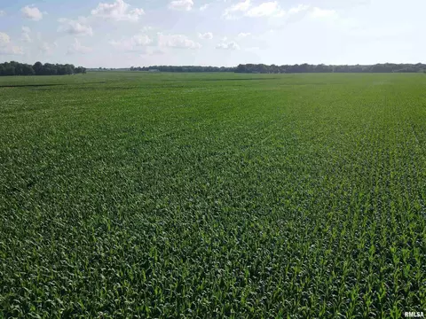 000 E County Road 900 Rd, Montrose, IL 62445 photo 10