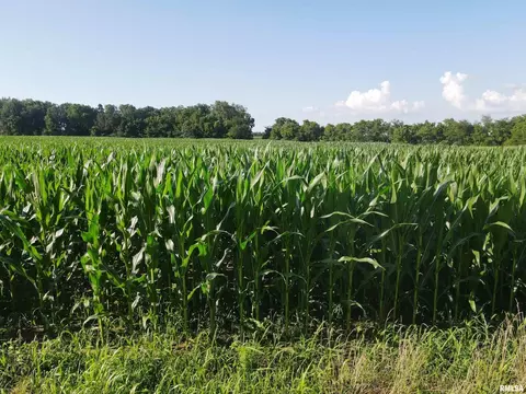 000 E County Road 900 Rd, Montrose, IL 62445 photo 15