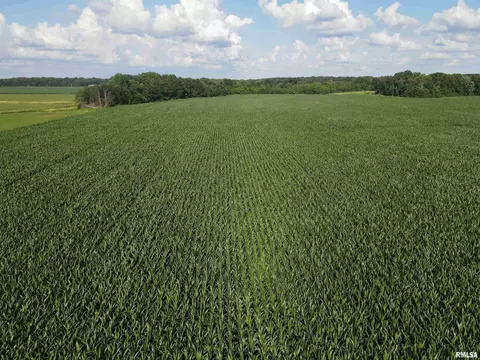 000 E County Road 900 Rd, Montrose, IL 62445 photo 11
