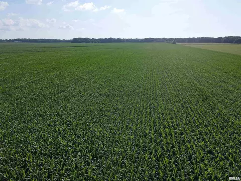000 E County Road 900 Rd, Montrose, IL 62445 photo 8
