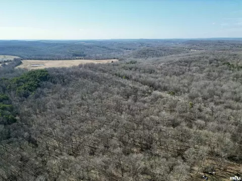 000 Minerva Rd, Cave In Rock, IL 62919