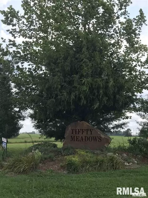 lot4 Dove Ln, Eldorado, IL 62930