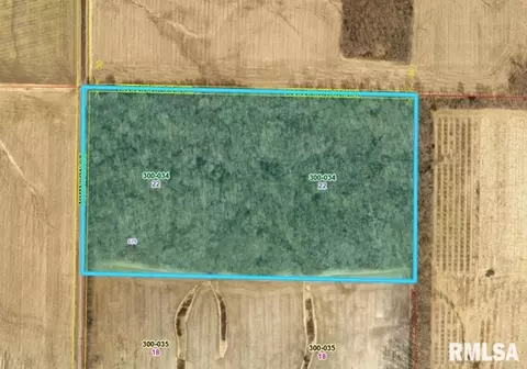 679 N Johnson St, Kell, IL 62853