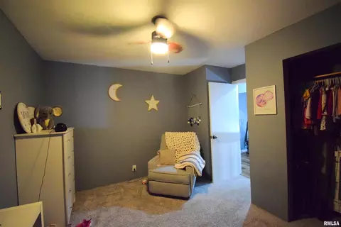 14665 E Windsong Rd, Mount Vernon, IL 62864 photo 17