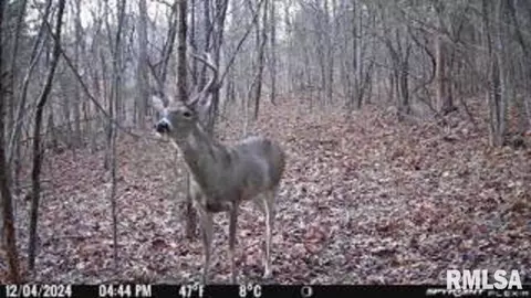 614 Bend Of River Rd, Cave In Rock, IL 62919