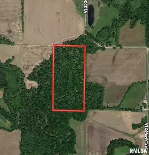 000 E Flagg Rd, Scheller, IL 62883