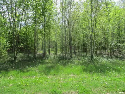 000 Sterling St, Benton, IL 62812 photo 8