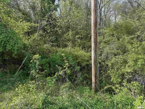 000 Sterling St, Benton, IL 62812 photo 2