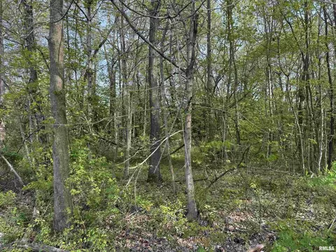000 Sterling St, Benton, IL 62812 photo 6