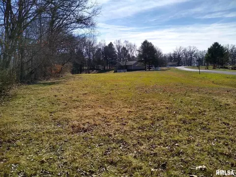 400 Walker Dr, Vienna, IL 62995 photo 3