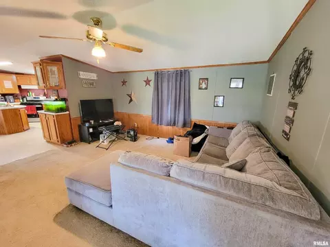 1110 W 7th St, Flora, IL 62839 photo 7