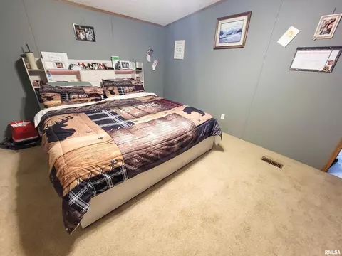 1110 W 7th St, Flora, IL 62839 photo 24