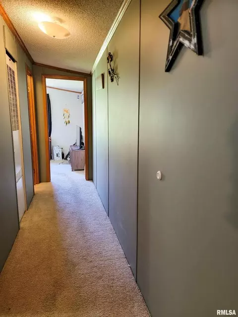 1110 W 7th St, Flora, IL 62839 photo 31