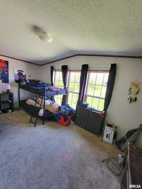 1110 W 7th St, Flora, IL 62839 photo 34