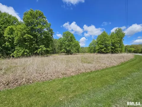 lot41 N Deer Park Dr, Dix, IL 62830