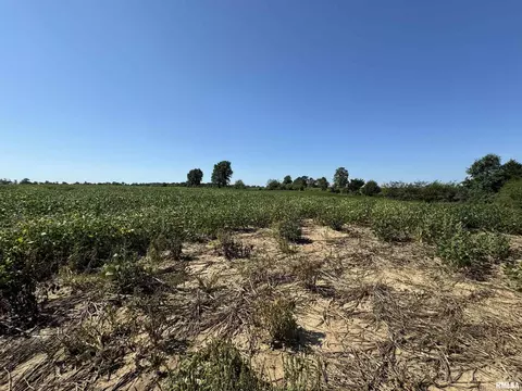 000 N County Road 1375 Rd, Cisne, IL 62823