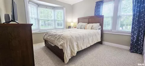 401 E 5th St, Mount Carmel, IL 62863 photo 9