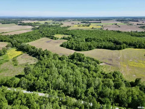 000 Netty Green Rd, Galatia, IL 62935