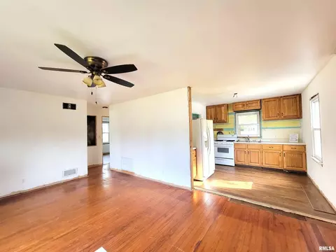 225 Hickory St, Flora, IL 62839 photo 25